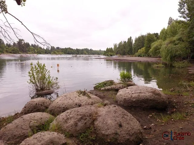 Vista del río Laja con rocas volcánicas y vegetación en Camping Porvenir