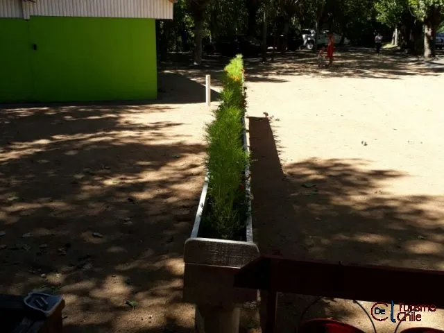 Sendero del camping con instalaciones y árboles en Camping y Cabañas Porvenir