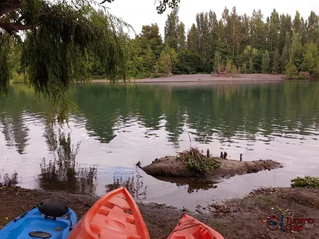 Kayaks a orilla del río Laja con isla de vegetación al fondo en Camping Porvenir