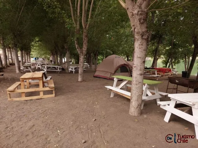 Sitios de camping con carpa y mesas bajo árboles en Camping y Cabañas Porvenir